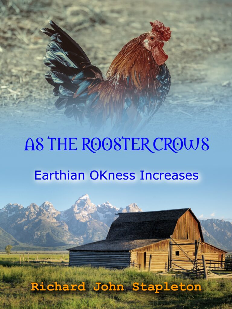 A rooster is standing in the grass near a barn.